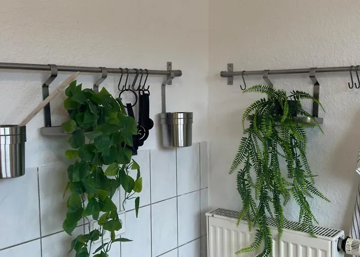 Schoene 3 Zimmerwohnung Altbau, Hochschulnah شقة *